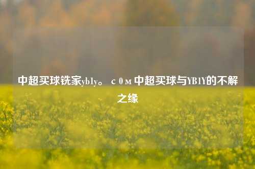 中超买球铣家yb1y。с0м中超买球与YB1Y的不解之缘