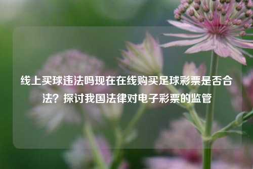 线上买球违法吗现在在线购买足球彩票是否合法？探讨我国法律对电子彩票的监管