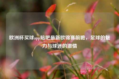 欧洲杯买球app贴吧最新欧锦赛前瞻，足球的魅力与球迷的激情