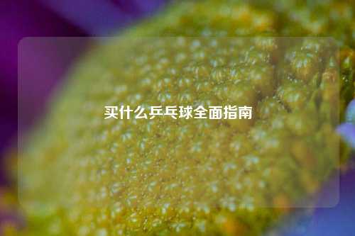 买什么乒乓球全面指南