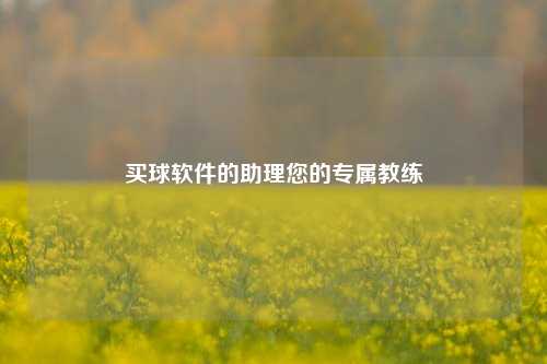 买球软件的助理您的专属教练