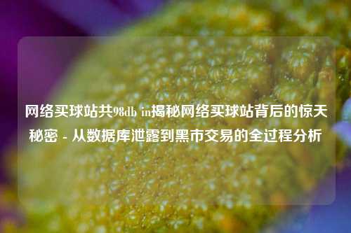 网络买球站共98db in揭秘网络买球站背后的惊天秘密 - 从数据库泄露到黑市交易的全过程分析