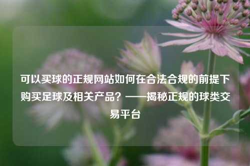 可以买球的正规网站如何在合法合规的前提下购买足球及相关产品？——揭秘正规的球类交易平台