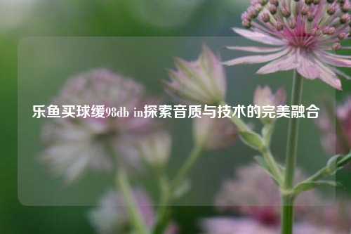 乐鱼买球缓98db in探索音质与技术的完美融合